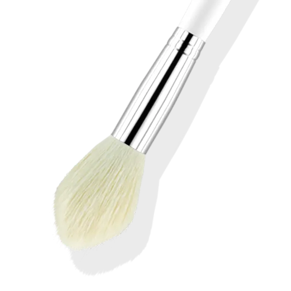 Brush #22 - Blush Brush
