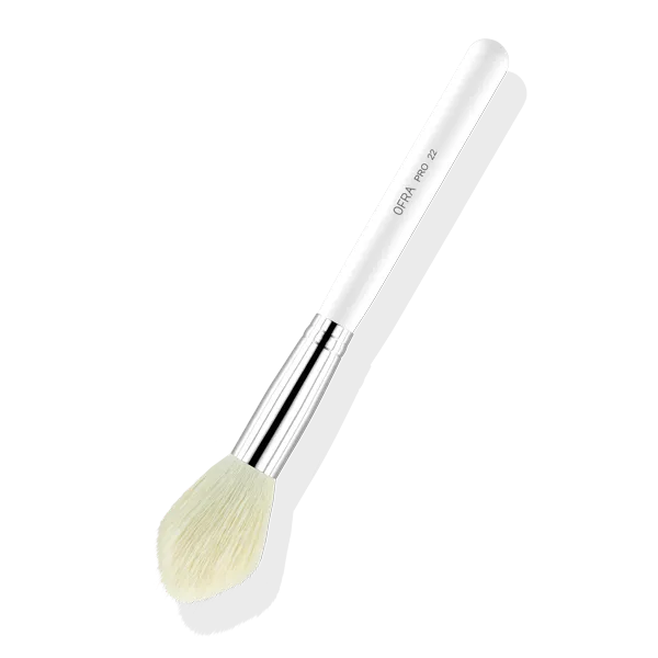 Brush #22 - Blush Brush