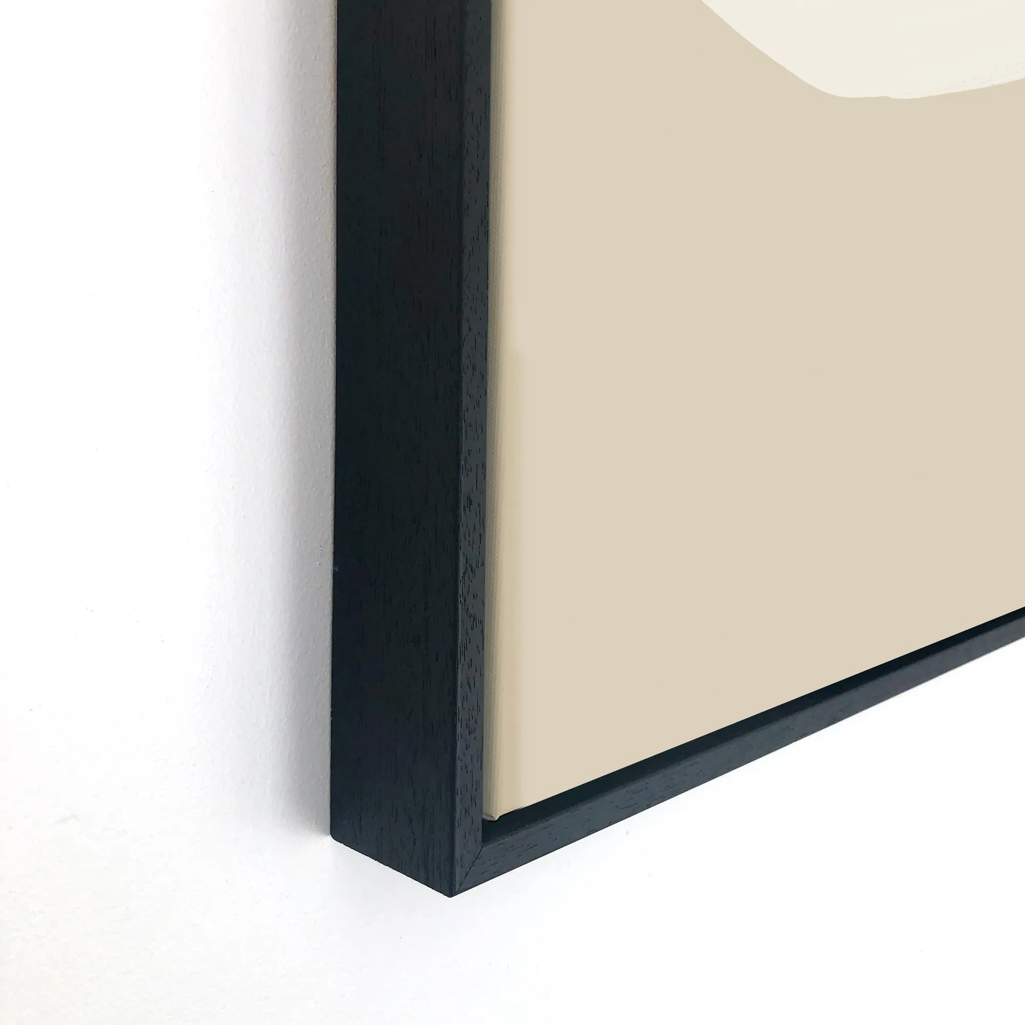 Neutral Anemone Flower Canvas Set