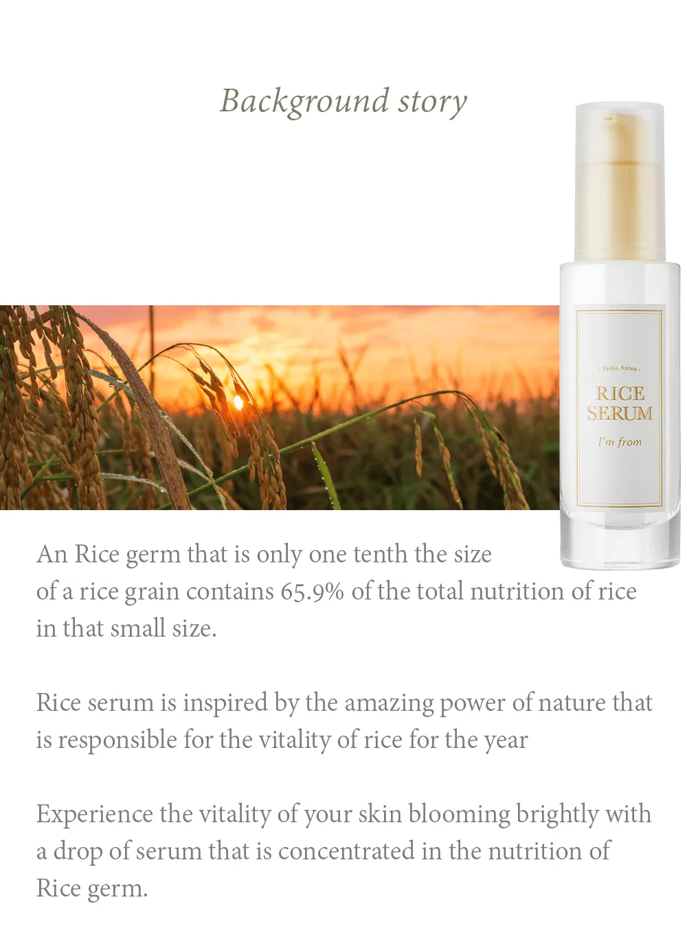 Rice Serum (30ml)