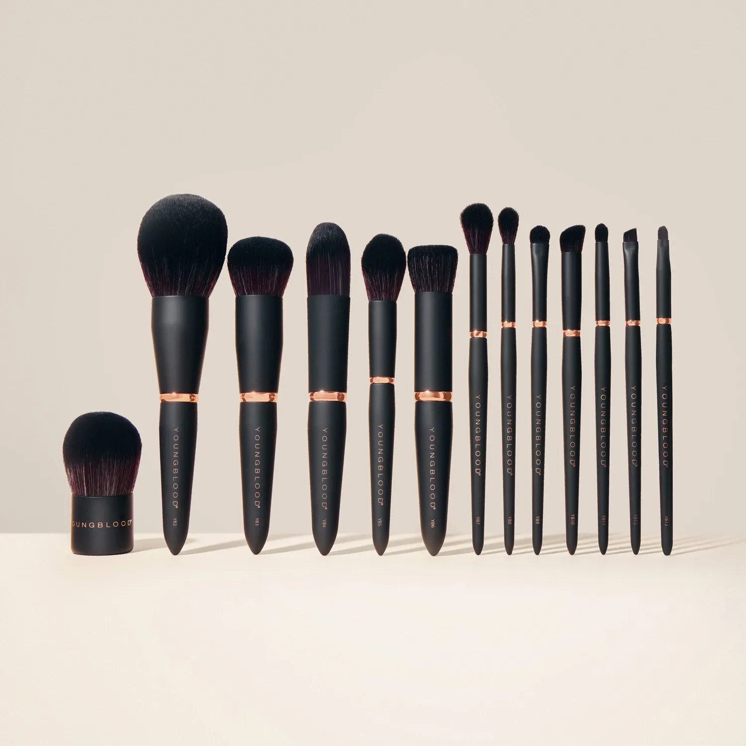 YB6 Powder Buffing Luxe Brush